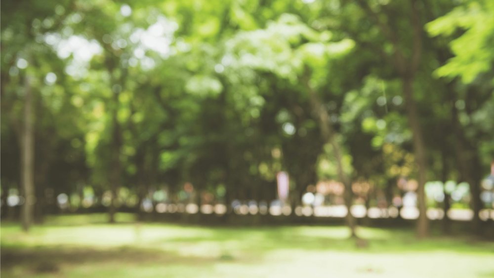 Парк с размытым фоном