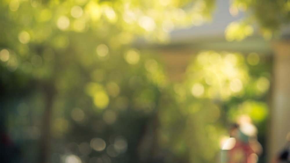 Фон тропинка