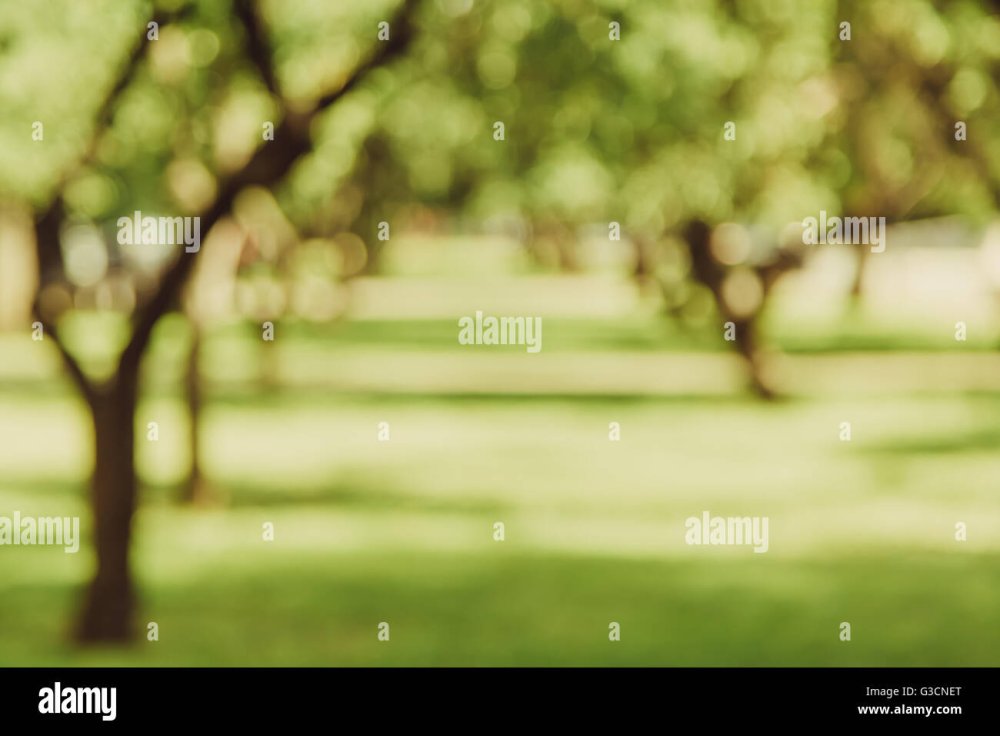 Размытый фон аллеи