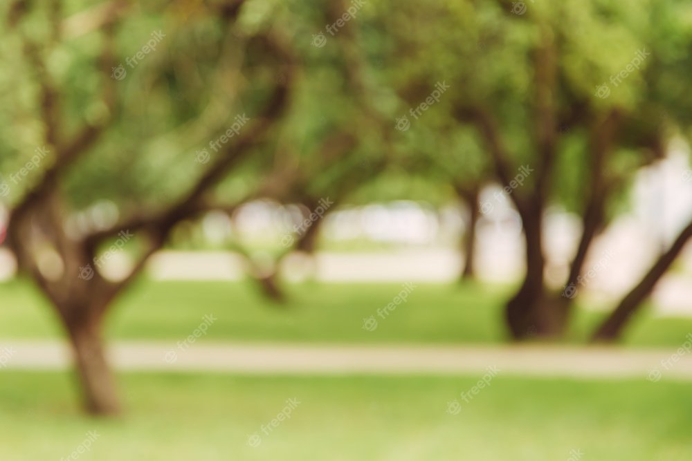 Размытый фон города