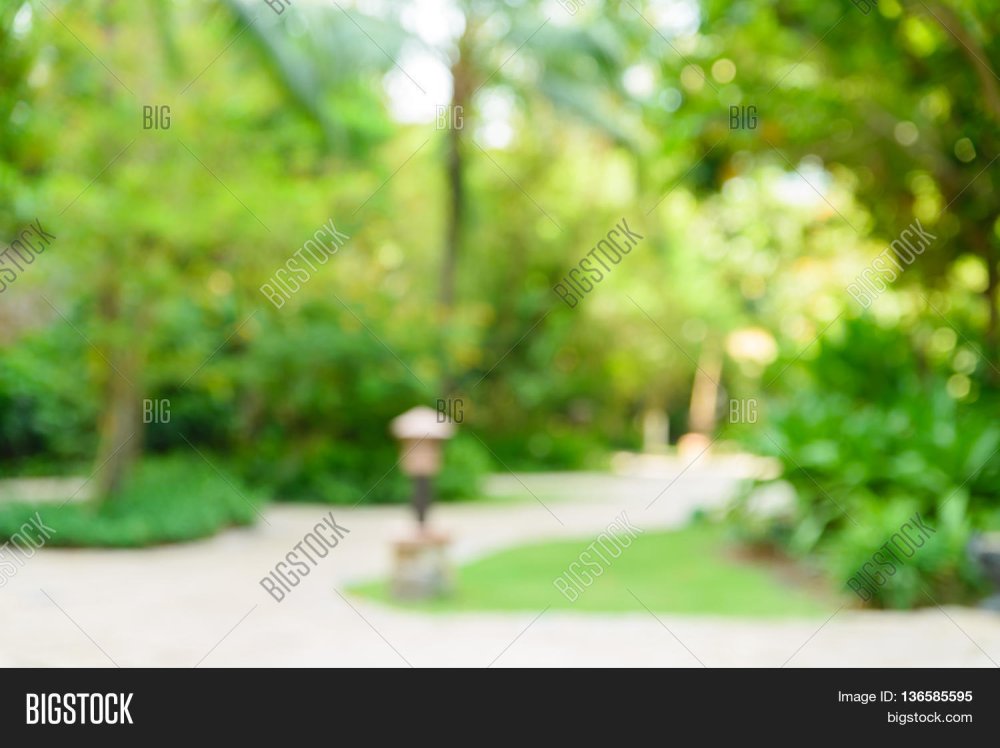 Размытый задний фон для слайд