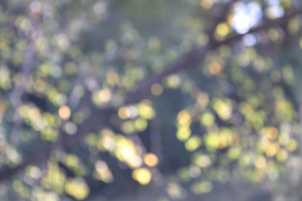 Размытый фон