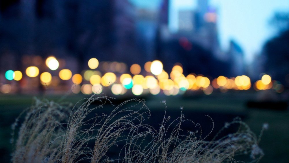 Размытый закат