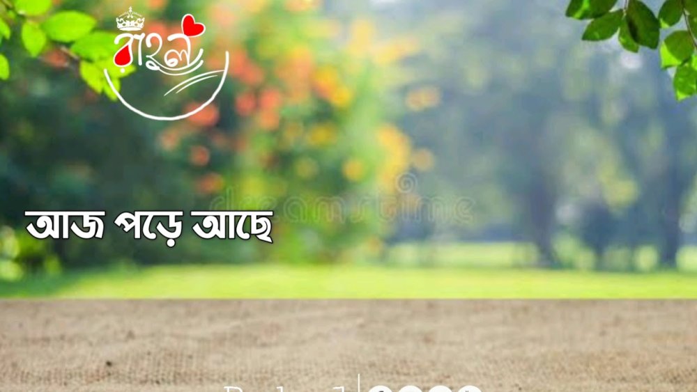 Пикник размытый фон