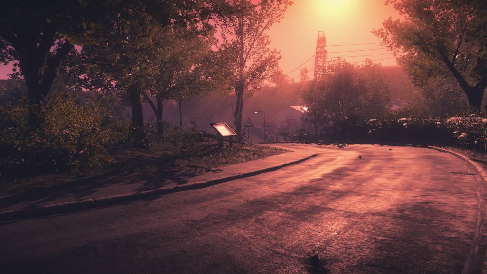 Лето парк размытый фон