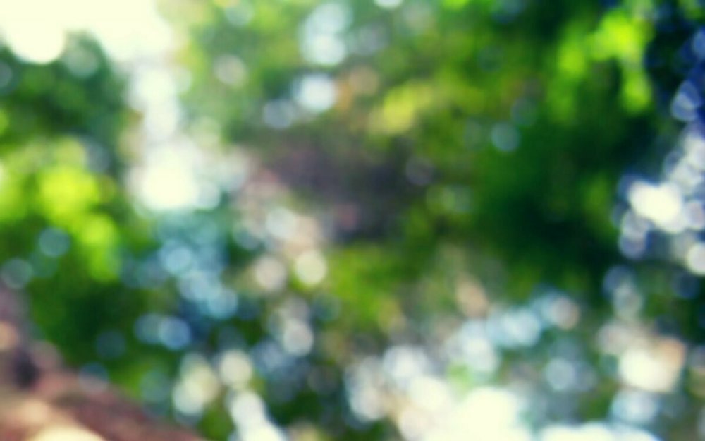 Размытый фон день