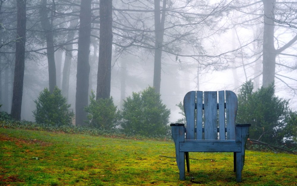 Скамейка в тумане