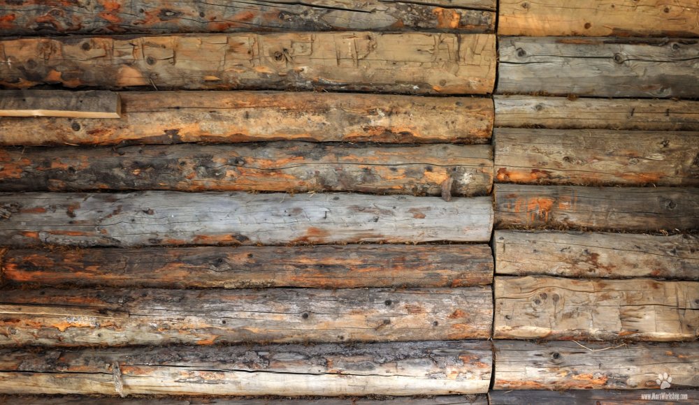 Фактура бревна