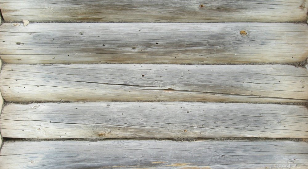 Сруб текстура