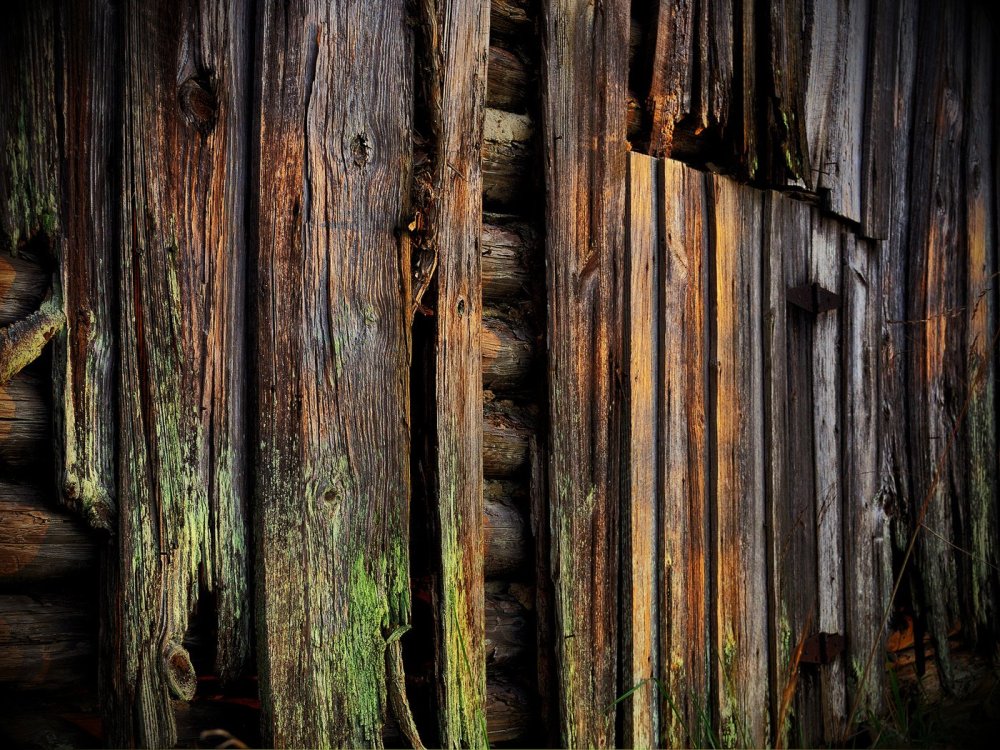 Деревянная стена