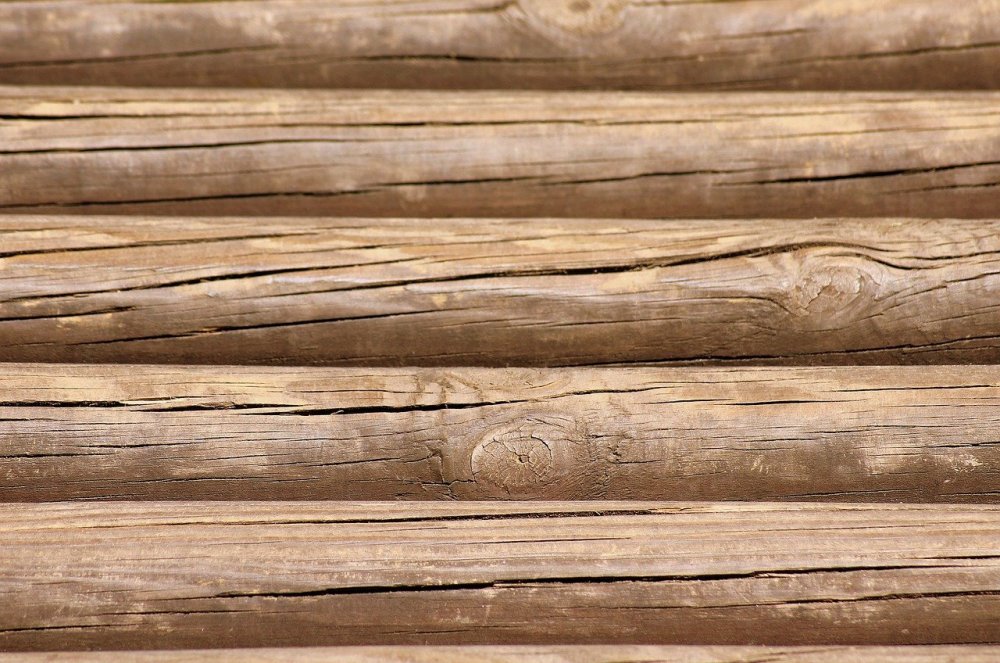 Текстура бревна