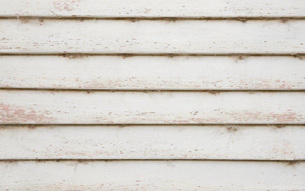 Бревенчатая стена