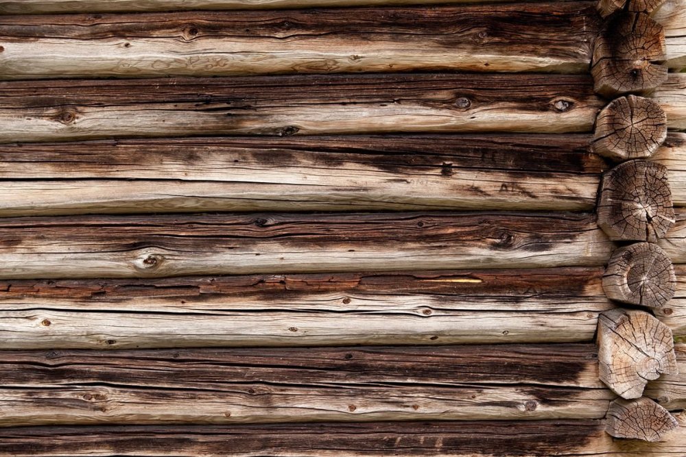 Стена бревенчатая в избе