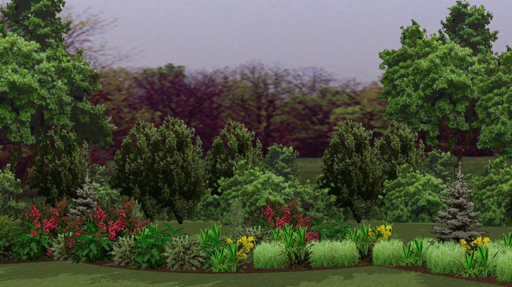 Панорама кусты ландшафт