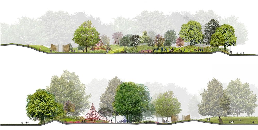 Антураж деревья лес