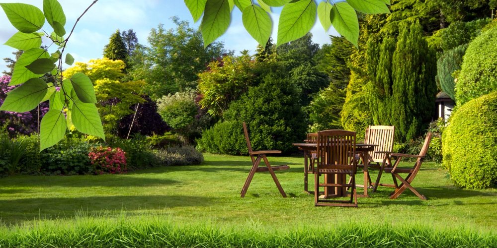 Сад дача фон