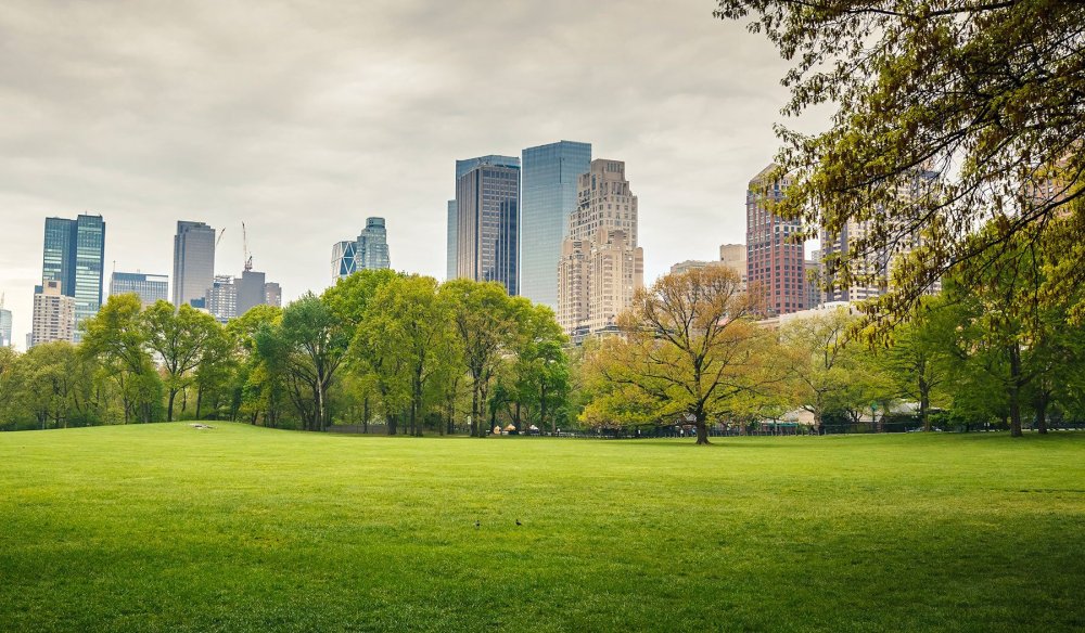 Детские фоны панорамные