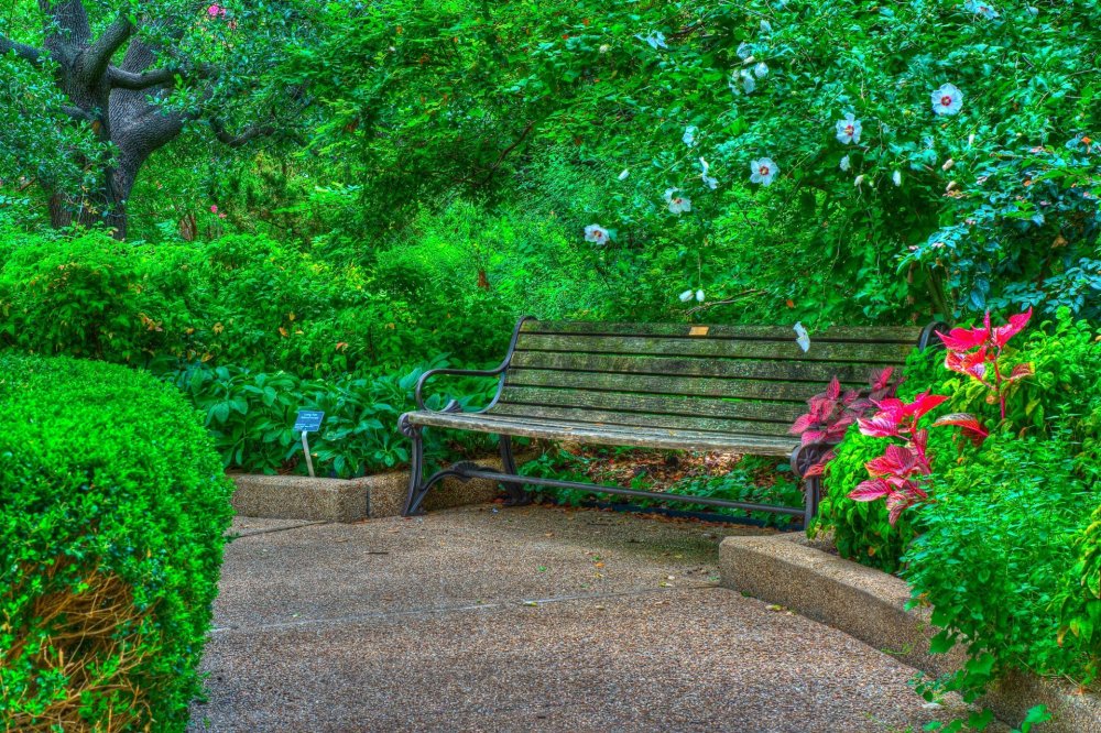 Природа панорама для 3д Макс