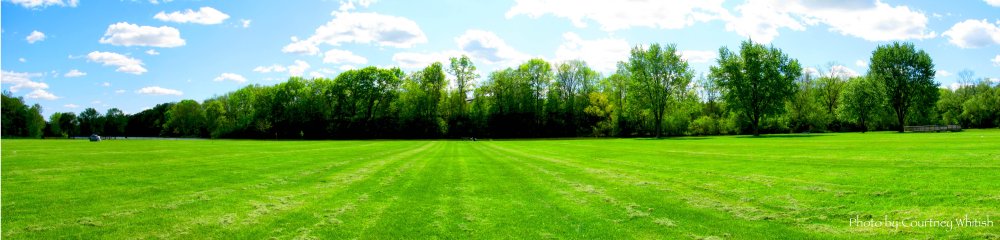 Дети панорама