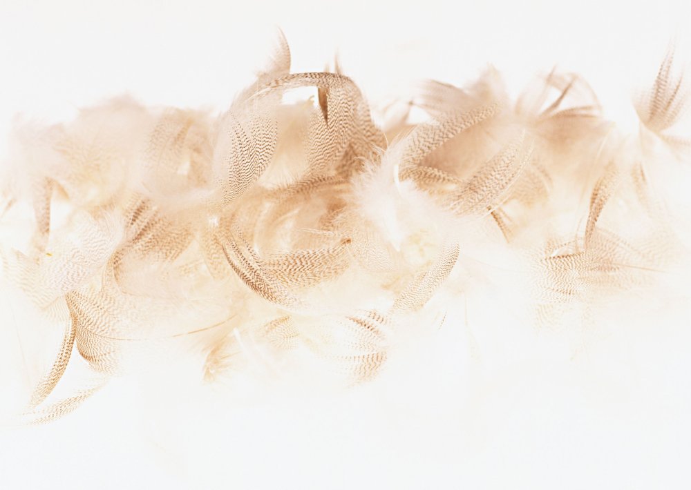 Бежевый фон Эстетика