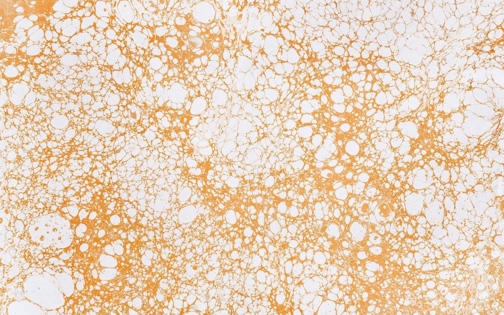 Обои с золотыми разводами