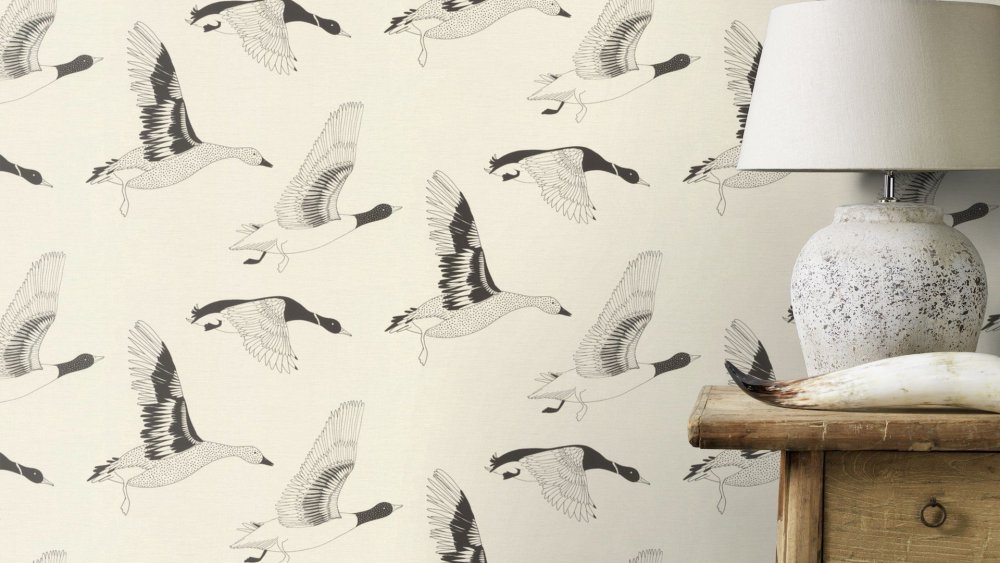 Фон с животными