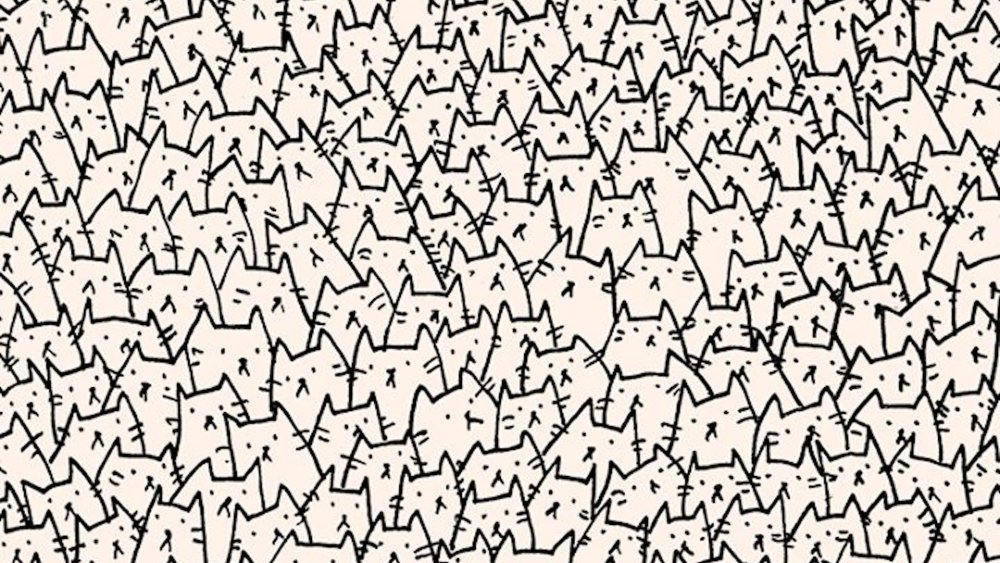 Много котиков фон