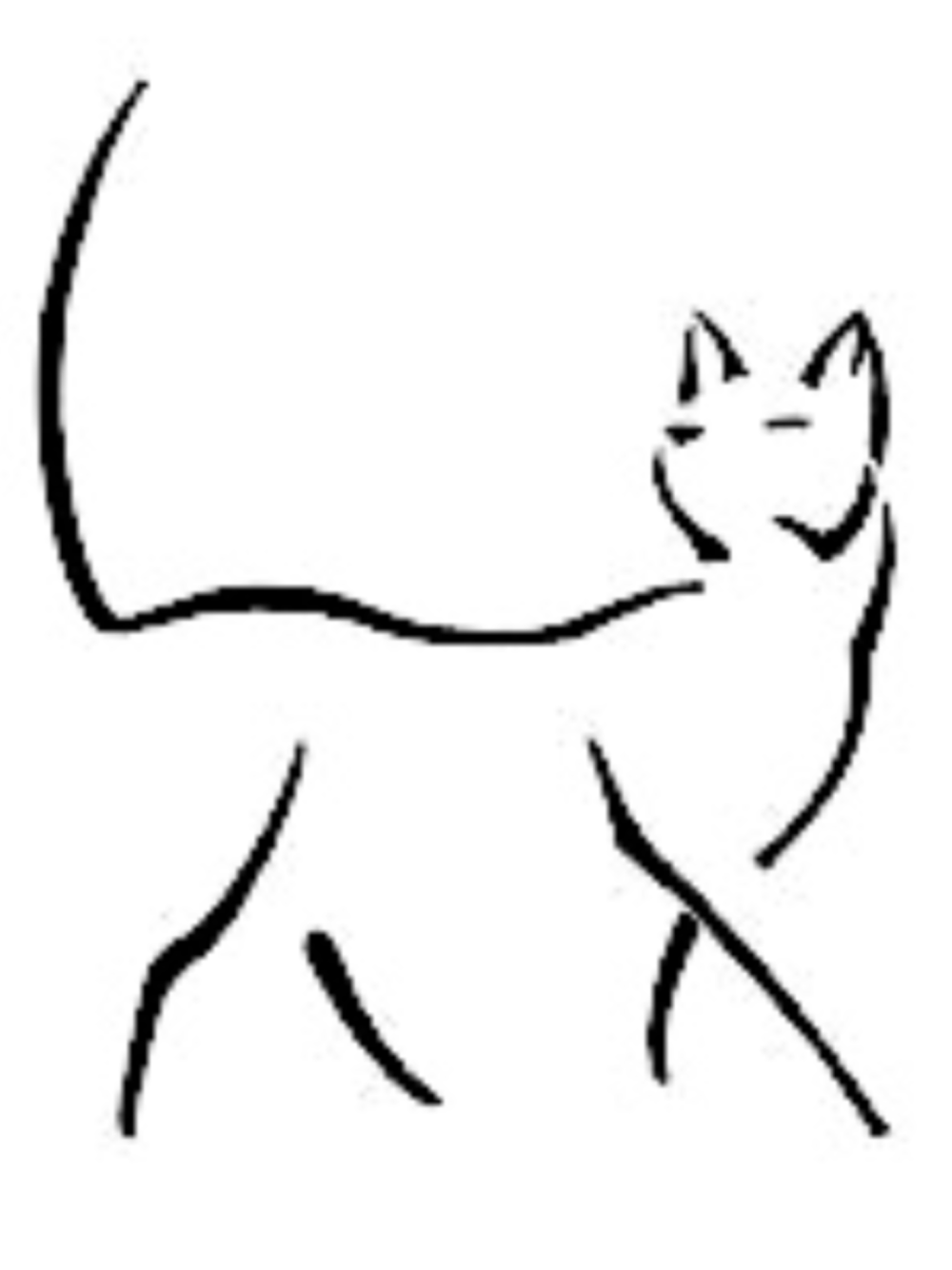 Контур кошки