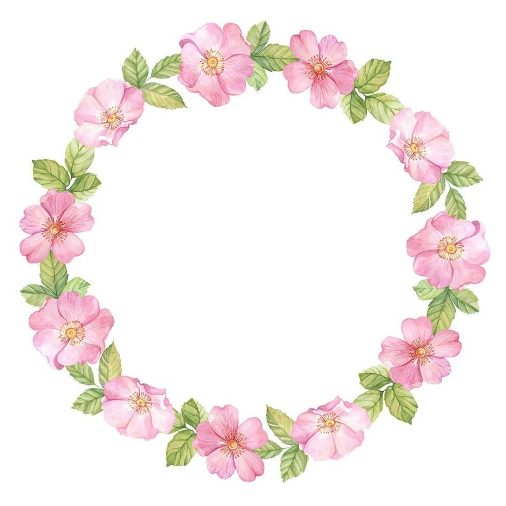 Цветы в круге