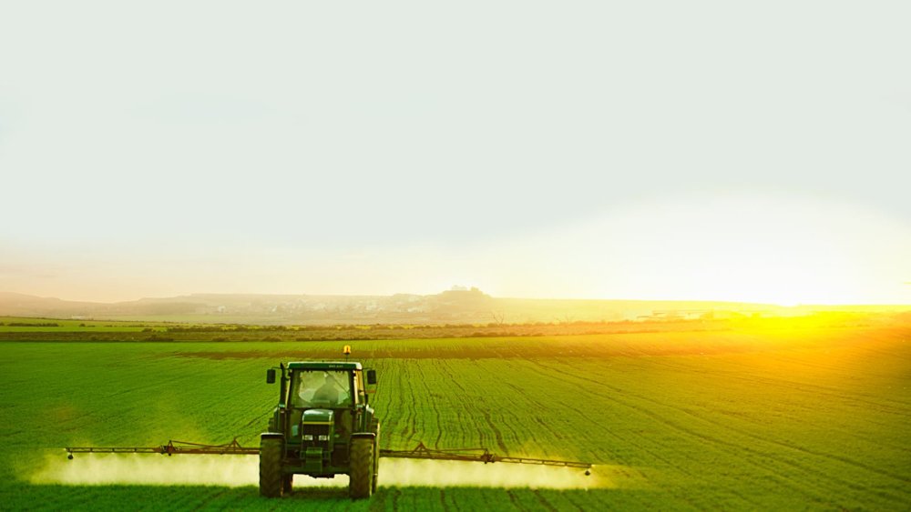 Поле сельское хозяйство