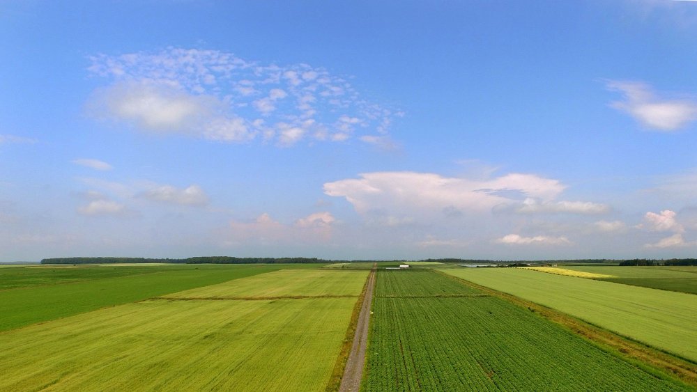 Сельхоз фон