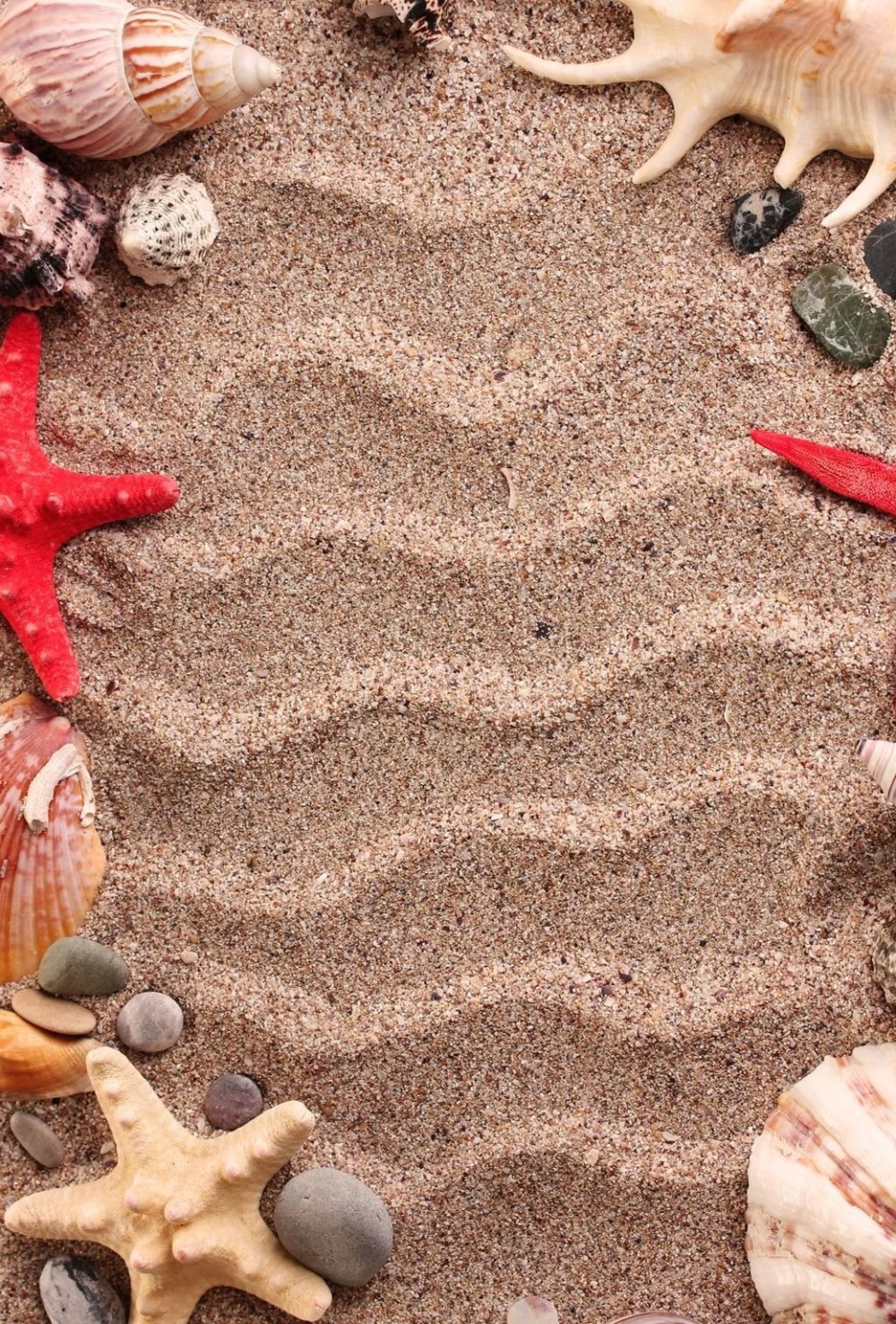 Море песок ракушки