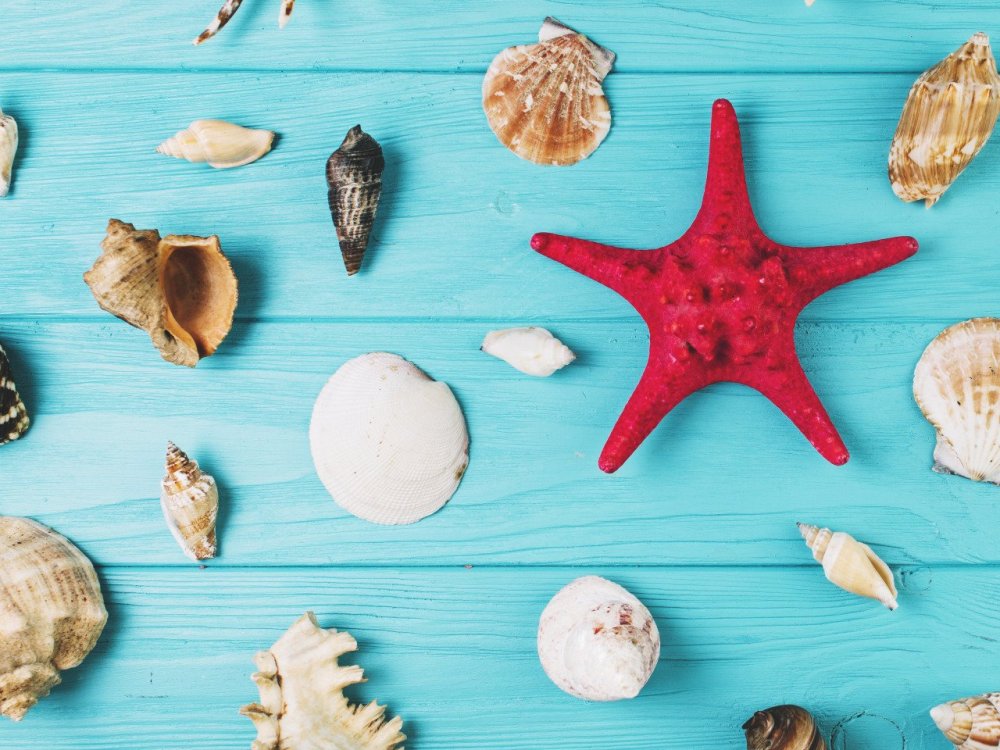 Морская тематика