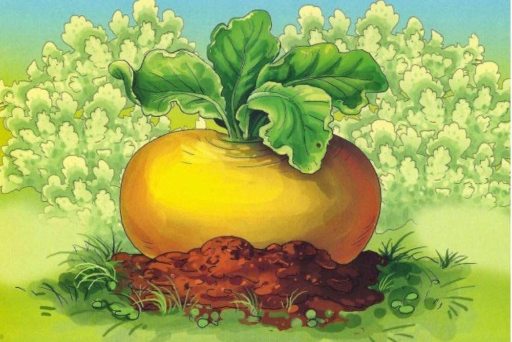 Сказочная Поляна