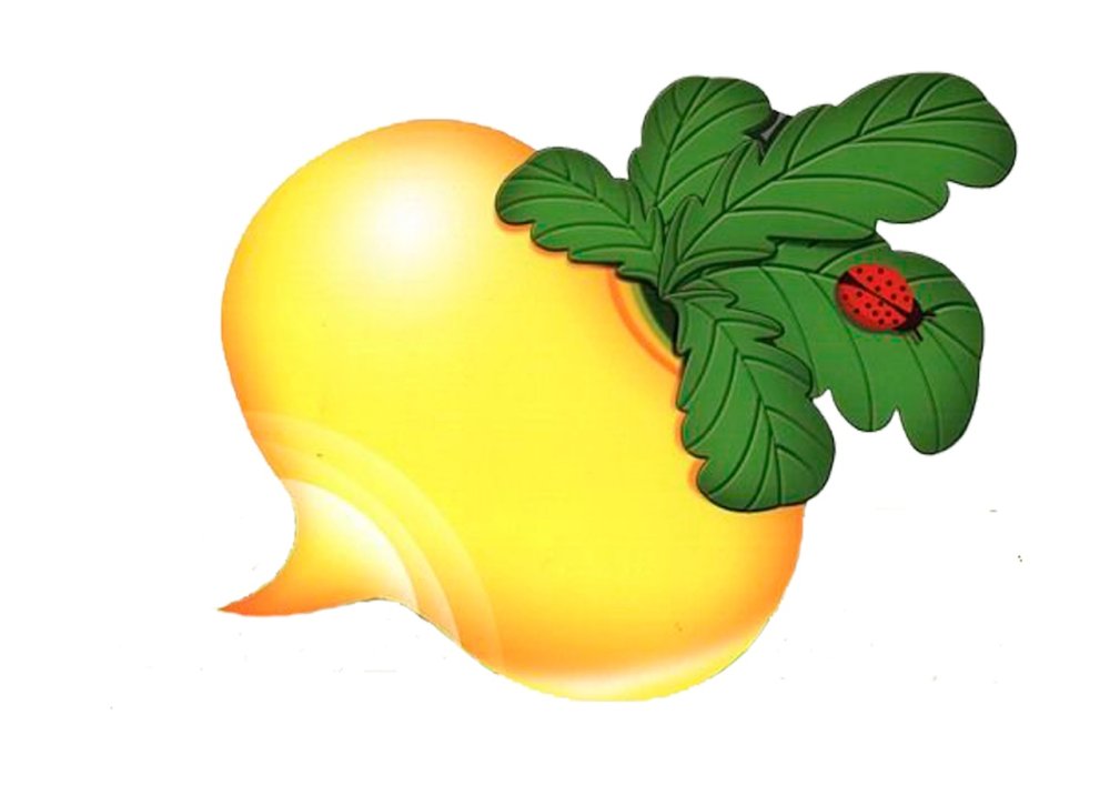 Герои РНС Репка