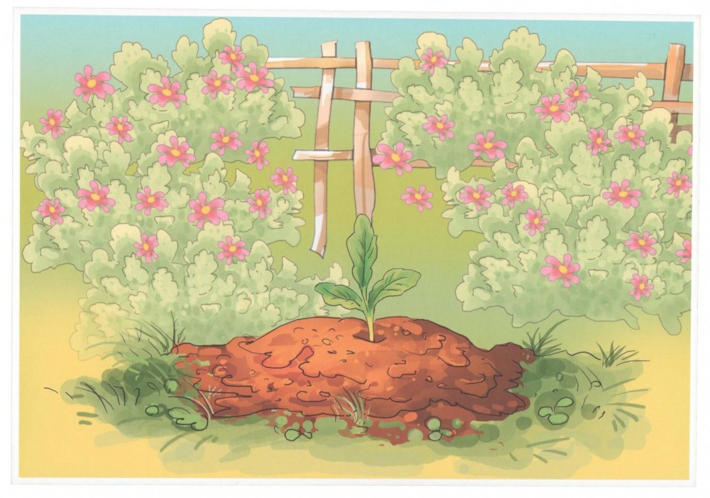 Современная сказка Репка