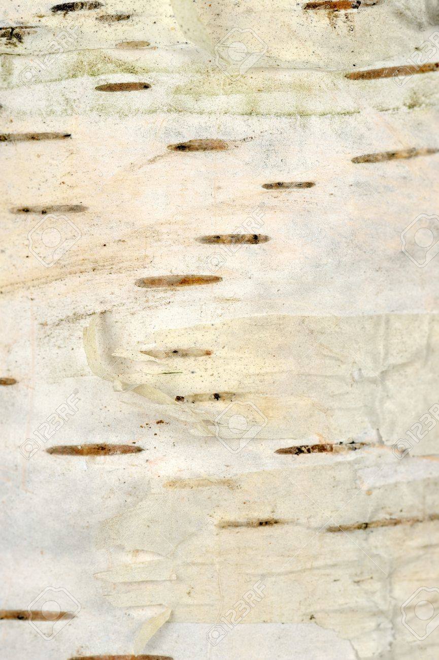 Бумага Папирусная