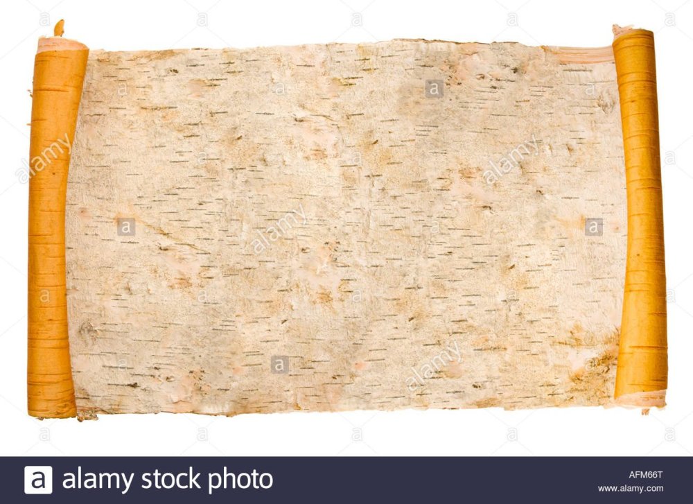 Береста бумага