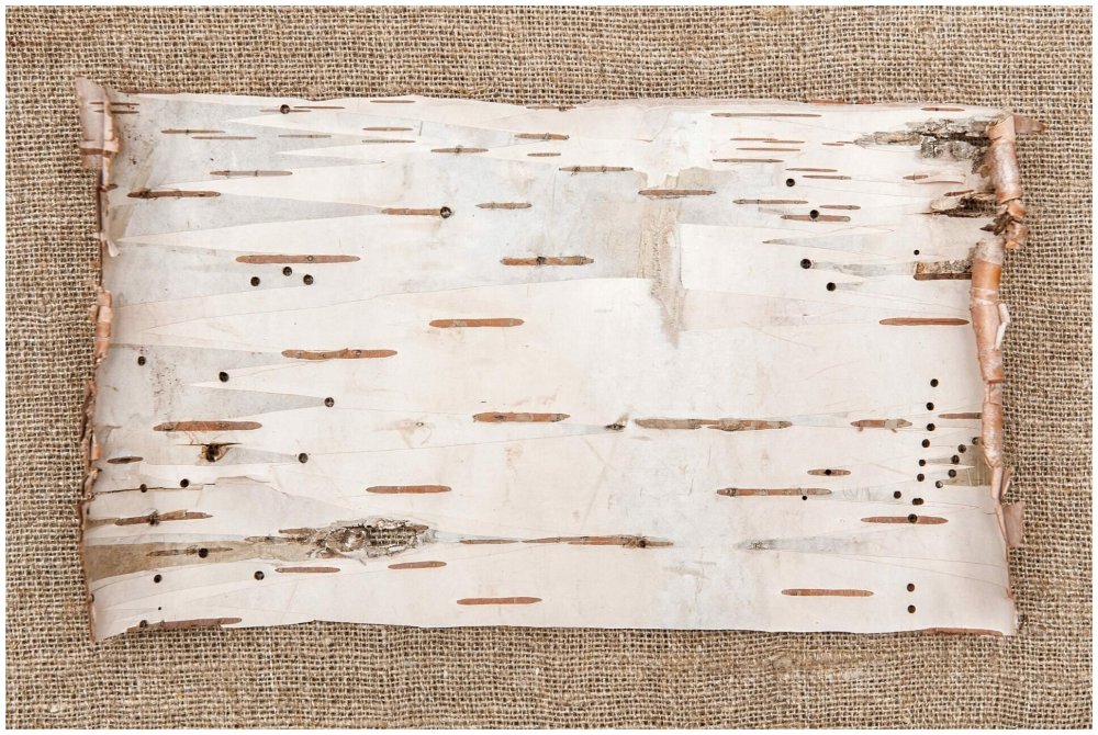 Обои из бересты