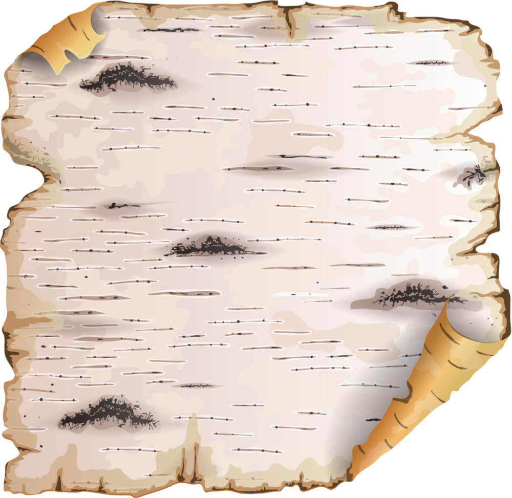 Береста кора березы