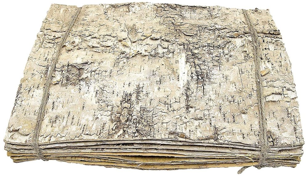 Берестяная кора берестяная грамота