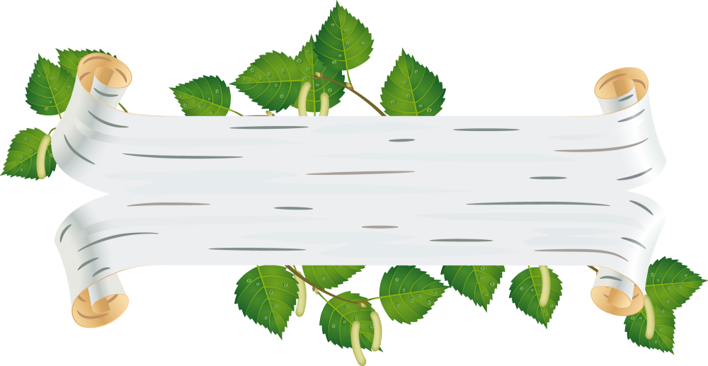 Лист бересты