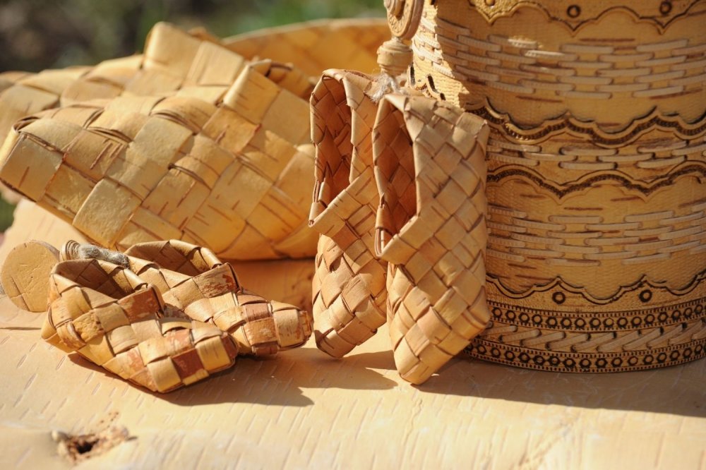 Кора березы вектор береста