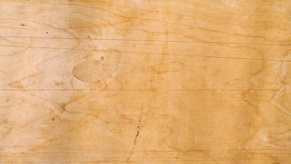 Берестяной свиток на прозрачном фоне