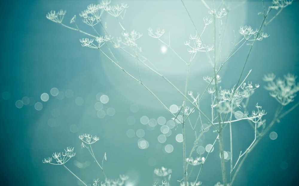 Нейтральный фон