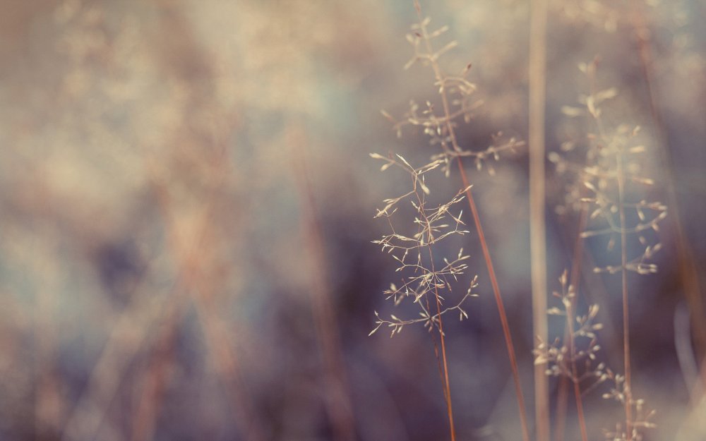 Эстетический фон