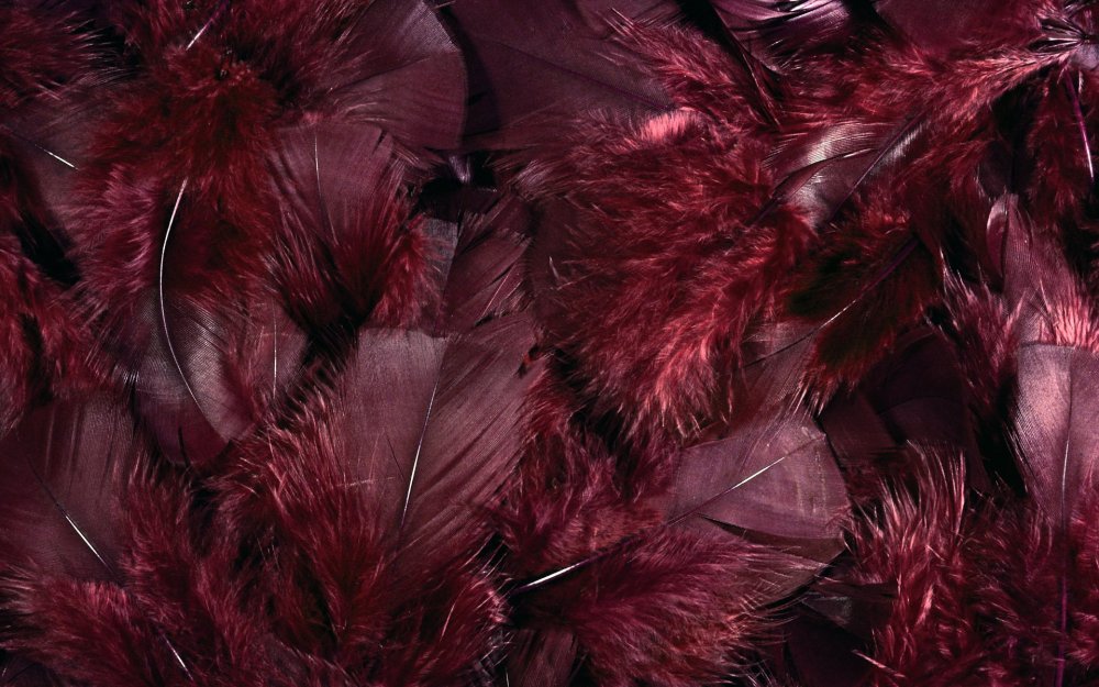 Бордовый фон