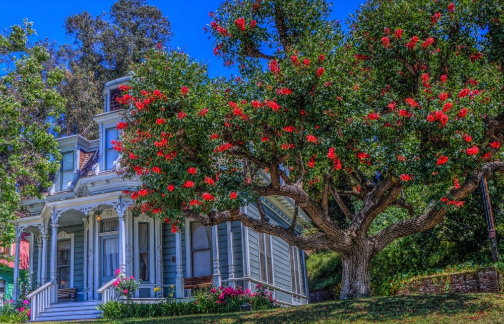 Домик в цветах