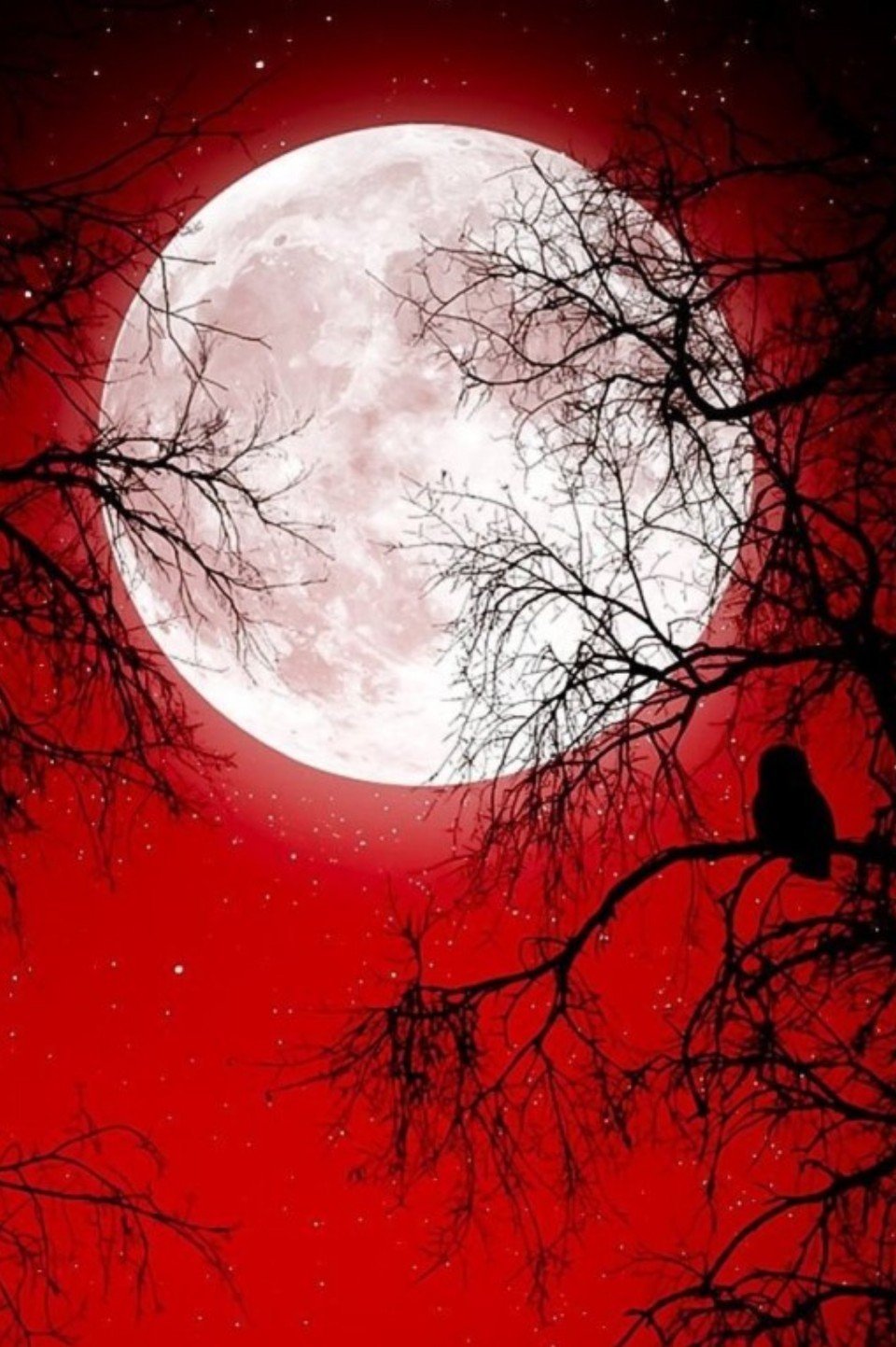 Кровавая Луна явление