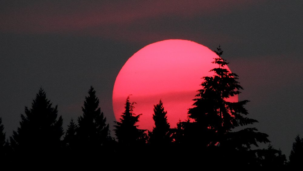 Красная ночь